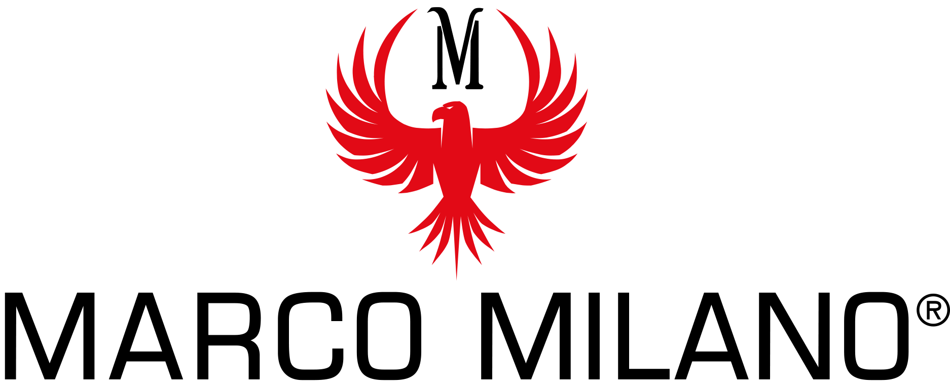 Header Logo